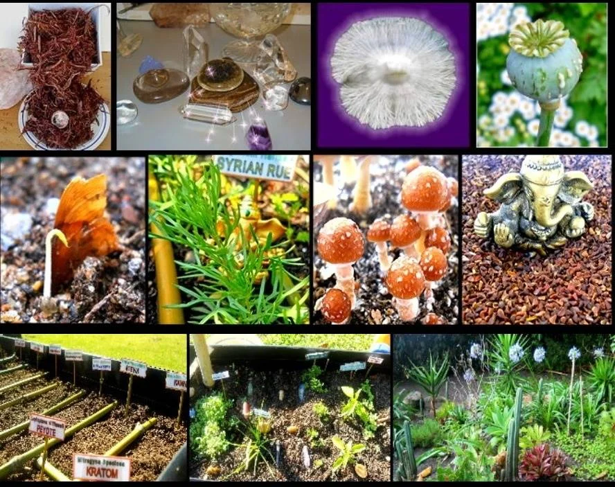 Alchemy Workshop – Making^Magic